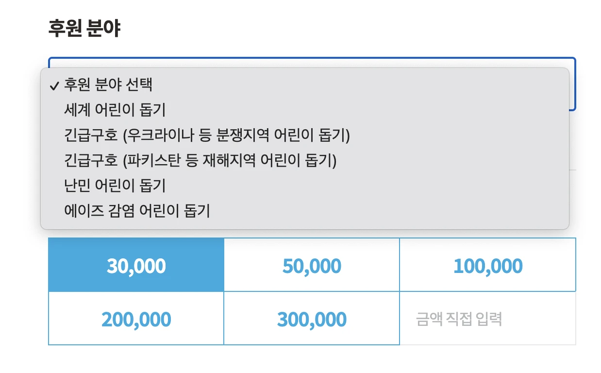 후원분야