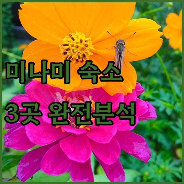 미나미 여행, 어디서 묵을까? 후레아..