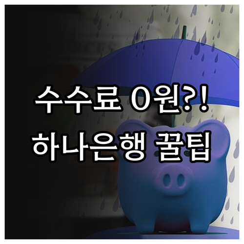 USD 100 이하 하나은행 수취 수..