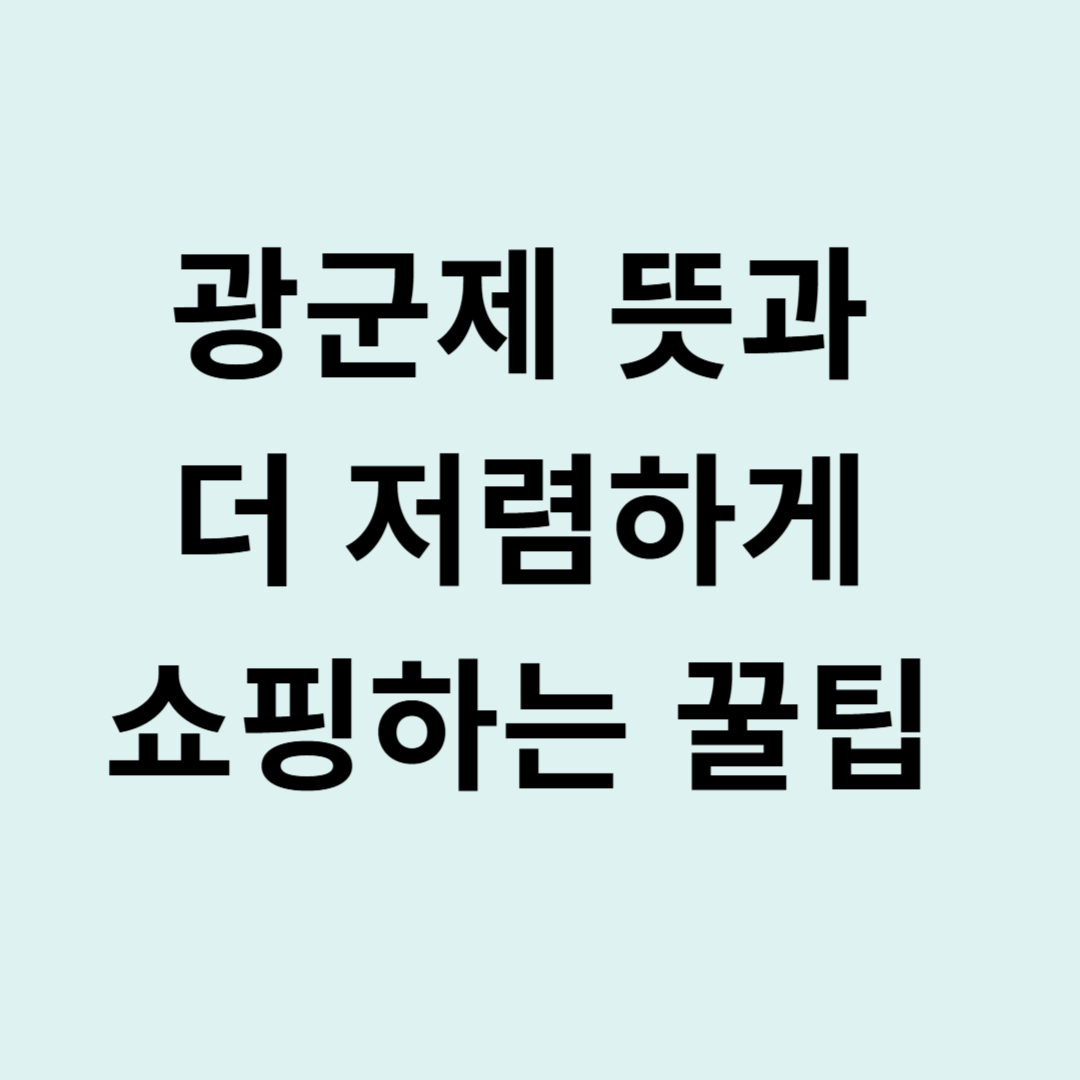 광군제 뜻