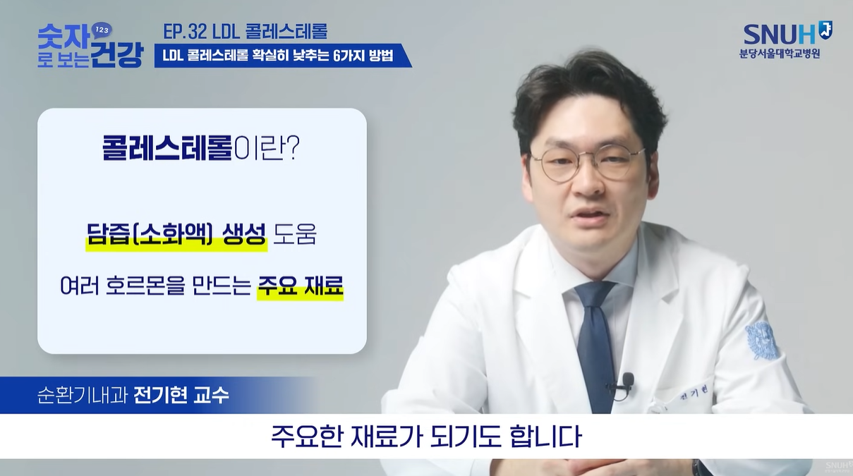 콜레스테롤은 담즙 생성도움