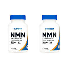  해외 / 글로벌 NMN 제품 TOP 5