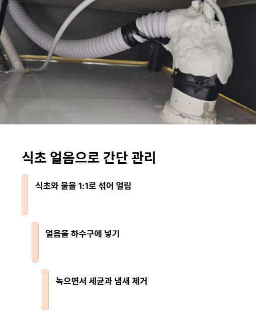 식초 얼음으로 간단 관리