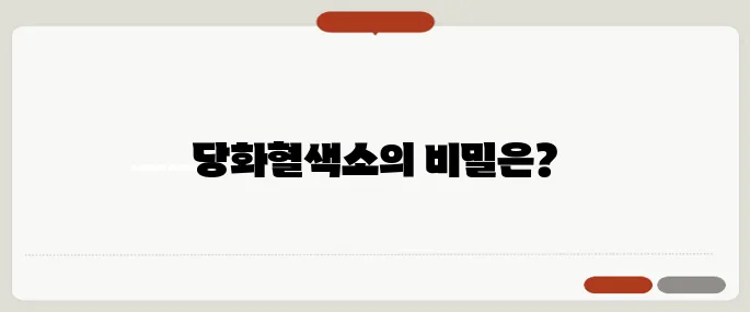 당화혈색소 수치표 단계별 위험도 해설