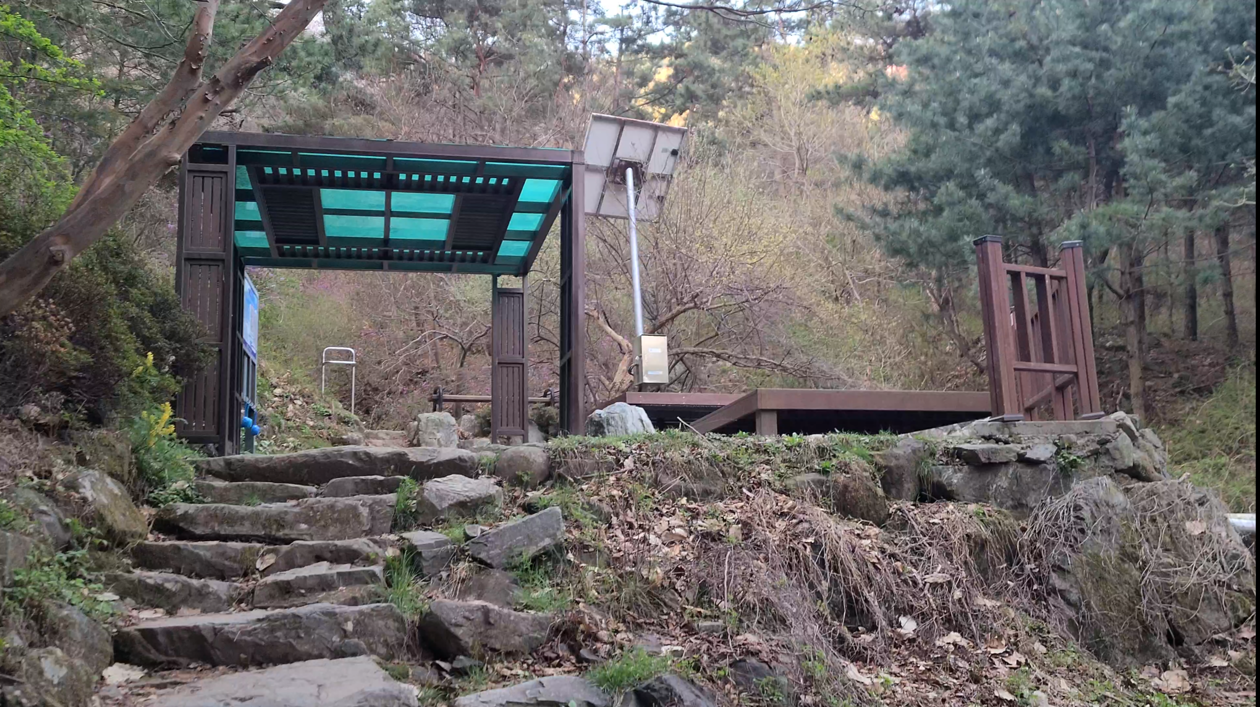 창원 천주산 진달래꽃 축제