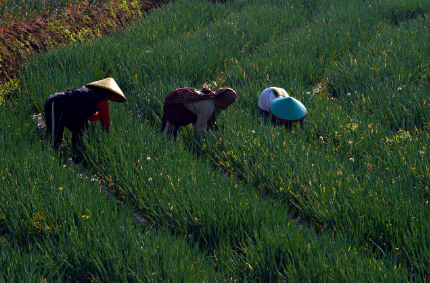 제로 인간 노동 사회: 자동화 이후의 일자리와 인간의 새로운 역할