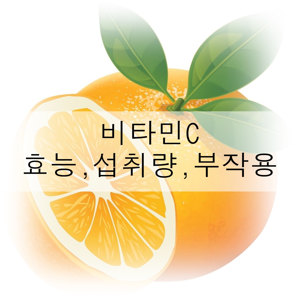 비타민C의 효능, 섭취량, 부작용을 알아보자!