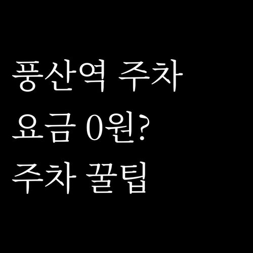 풍산역 주차장 위치와 이용 요금 무료..