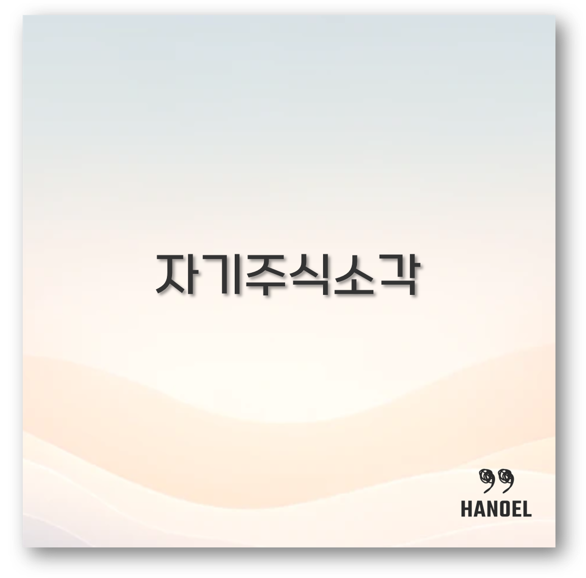 자기주식소각