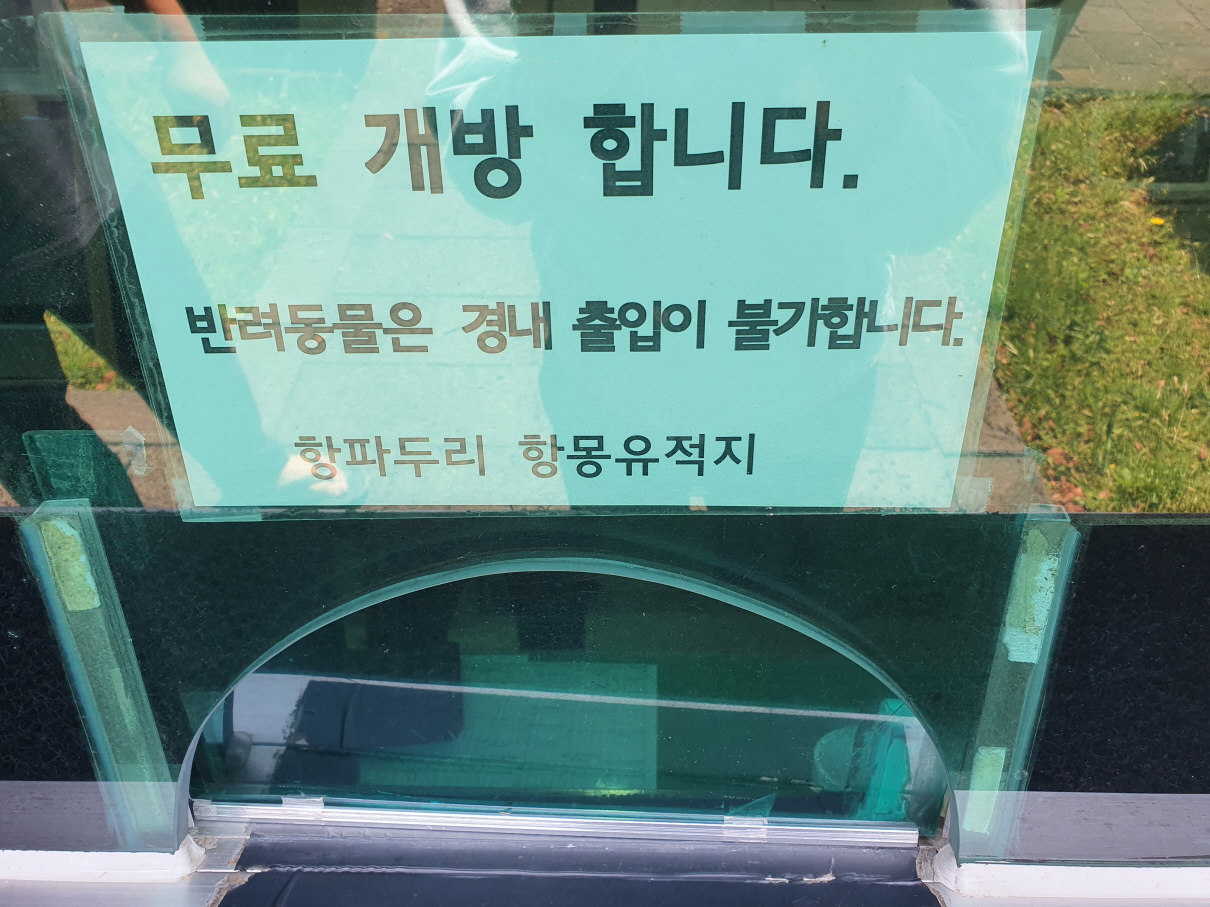 항파두리-7