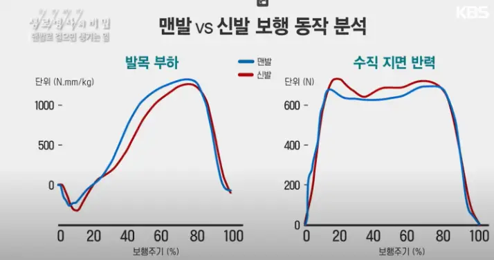 그래프