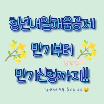 청년 내일채움공제