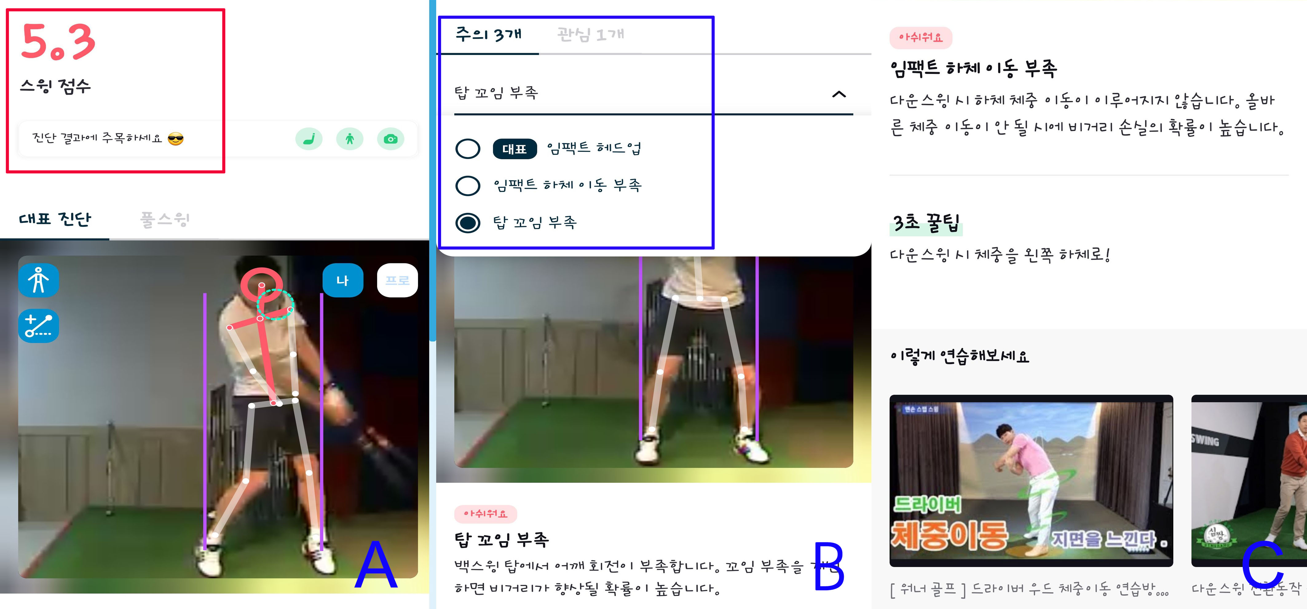 진단결과