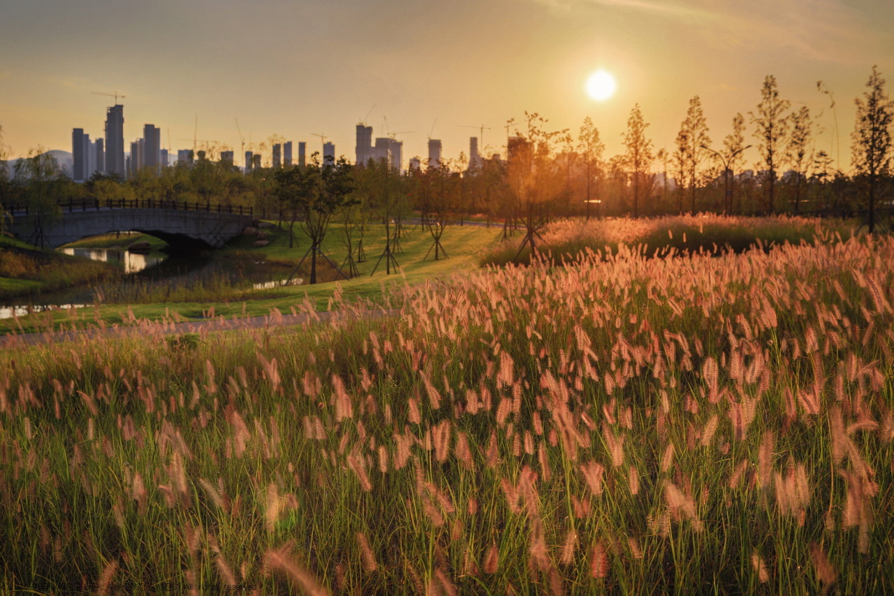 국립세종수목원