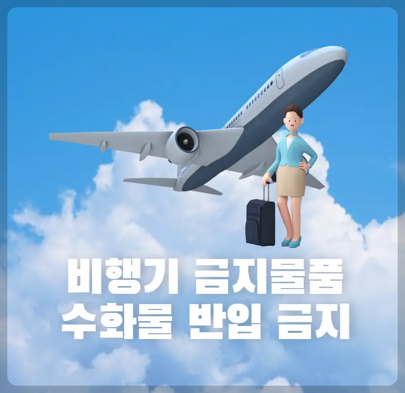 비행기 반입 금지물품