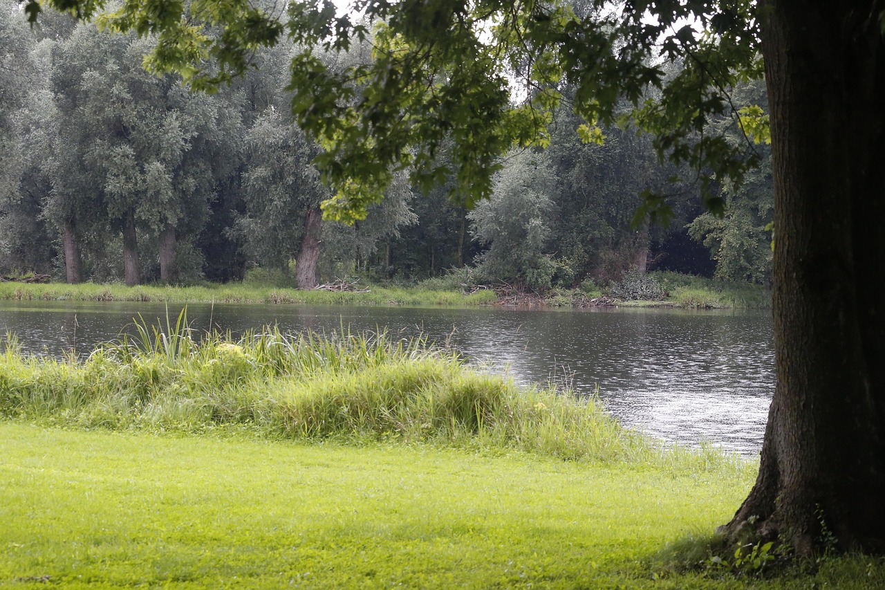 🚗 화담숲 가는 길 총정리|대중교통·자차 비교