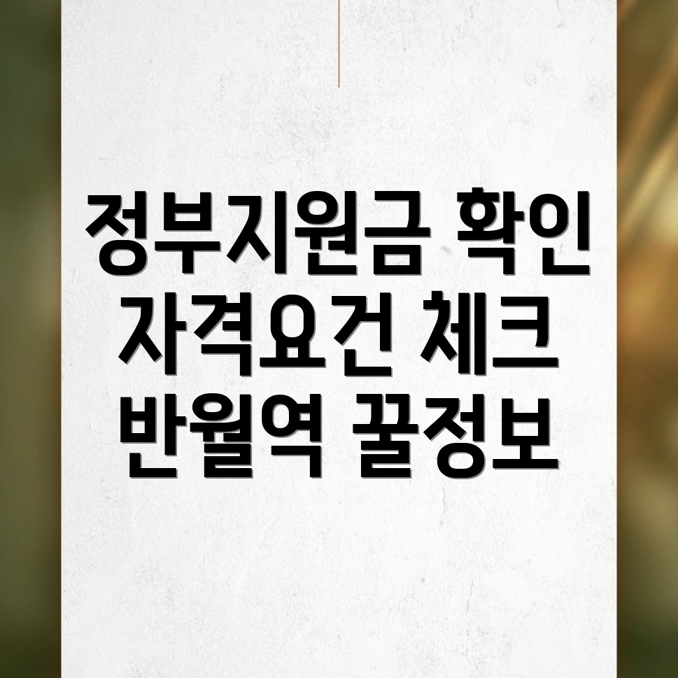 정부지원금