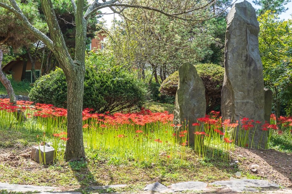 서천 가볼만한곳 베스트 10