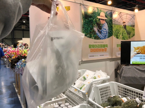 고양이필수아이템