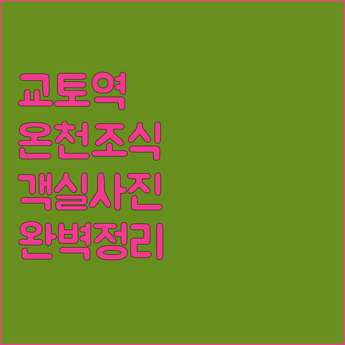 교토역 주변 인기 호텔 조식 온천 시..