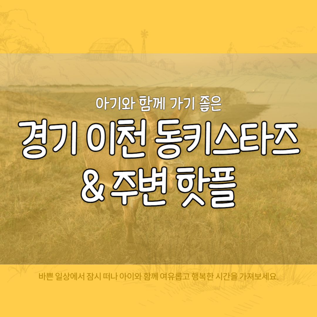 경기 이천 동키스타즈