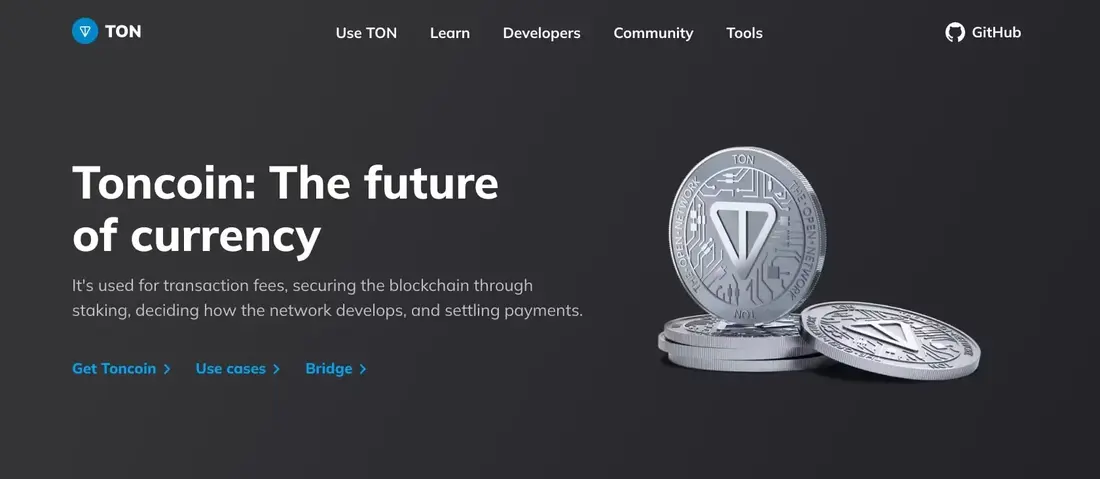 Toncoin 리뷰: TON은 2024년에 좋은 투자일까?