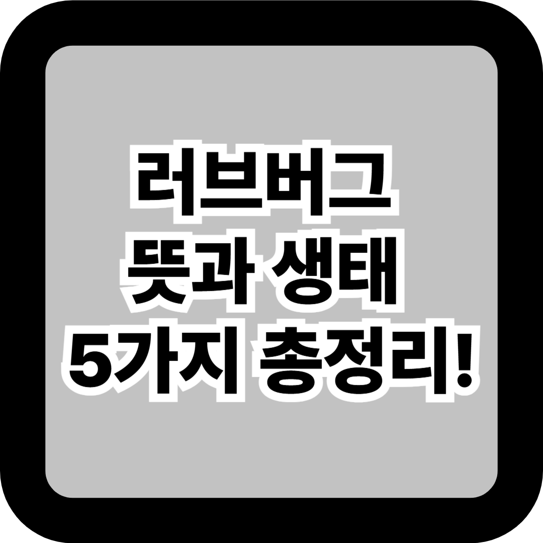 러브버그 뜻과 생태 5가지 총정리! 익충일까 해충일까? 수명·특징까지 한눈에