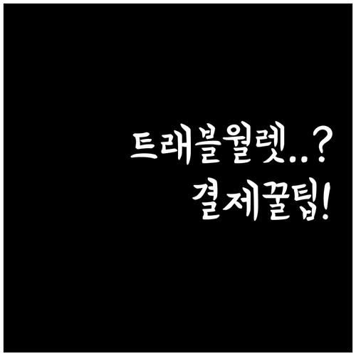 알리페이 트래블월렛 등록부터 결제까지..