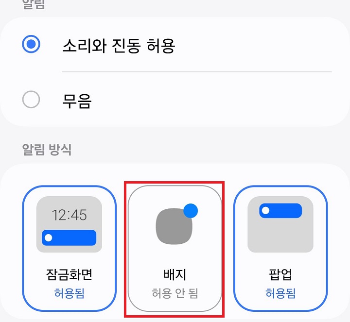 배지 허용안됨으로 표시됨