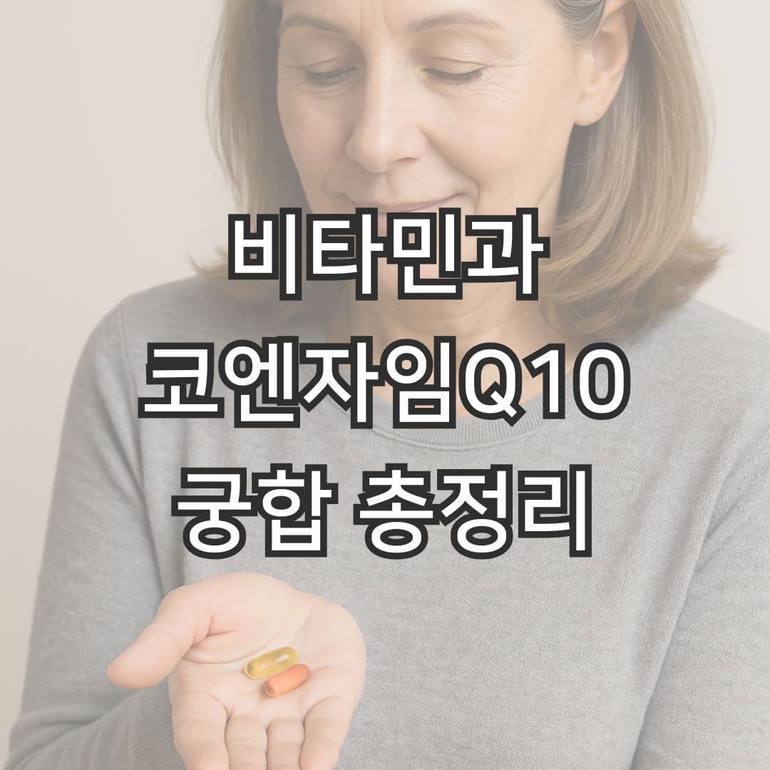 코엔자임Q10 효능 높이는 비타민 5가지, 함께 먹으면 시너지!