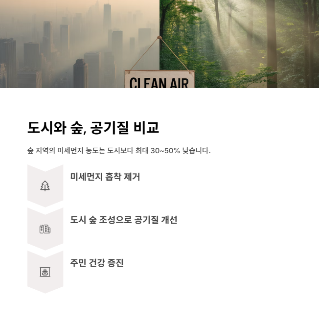 도시와-숲-공기질-비교