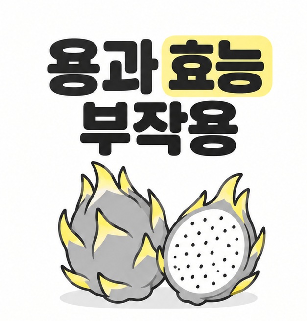 용과 효능 부작용이라는 제목과 용과 열매, 반으로 자른 과육을 배치한 대표 이미지
