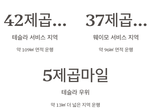 테슬라와 웨이모와의 직접적 경쟁 구도 설명 이미지