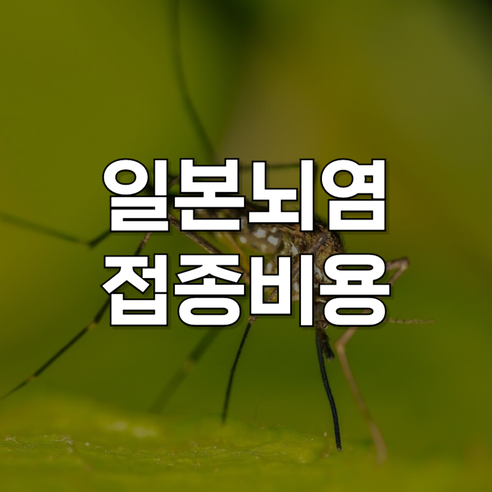 일본뇌염 예방접종, 국가 지원 대상은? 백신별 접종비용 확인하기