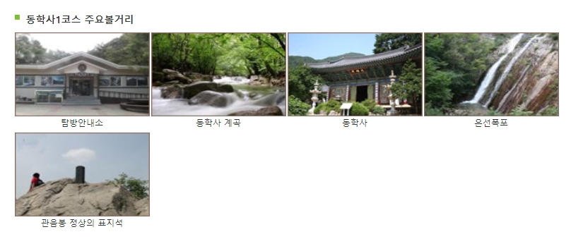 산행 중 마주하게 되는 돌계단과 주변 숲길 풍경