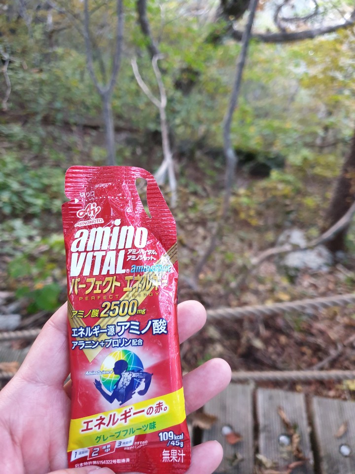 애너지젤