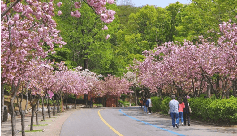 과천 서울대공원-인스타그램 출저