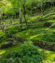 화담숲 전경사진