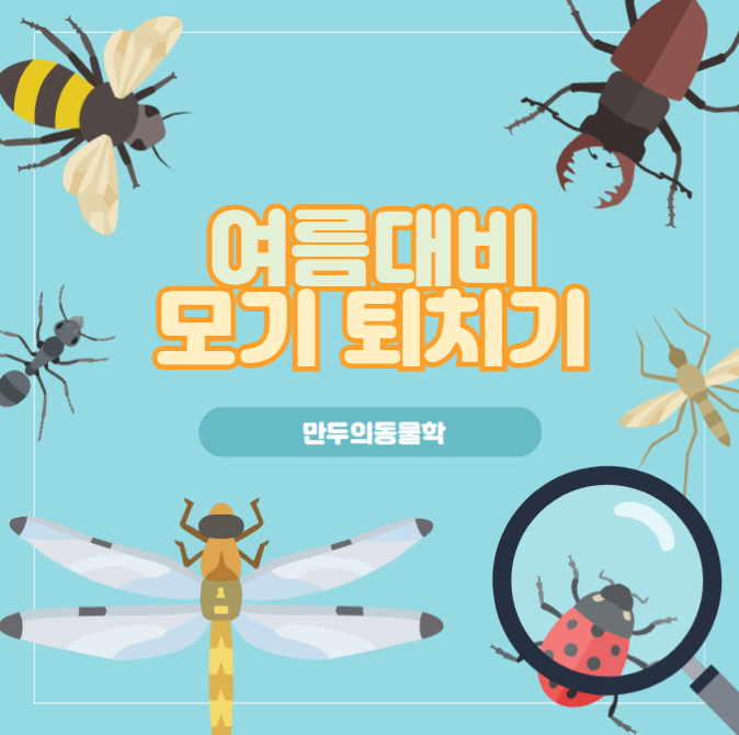 여름대비모기퇴치기