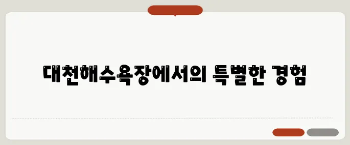 제대로 즐기는 캠핑, 대천해수욕장에서의 완벽한 하루