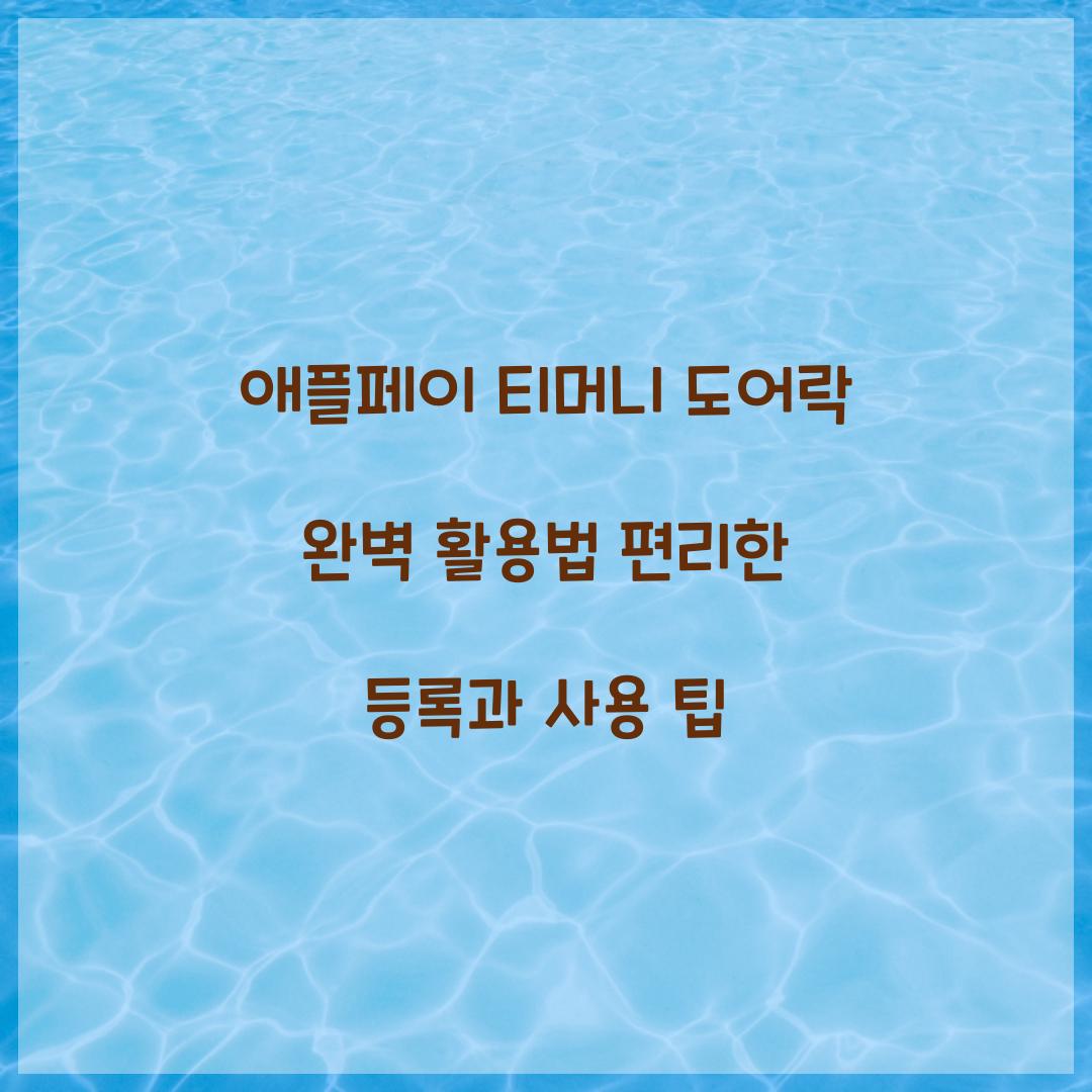 애플페이 티머니 도어락