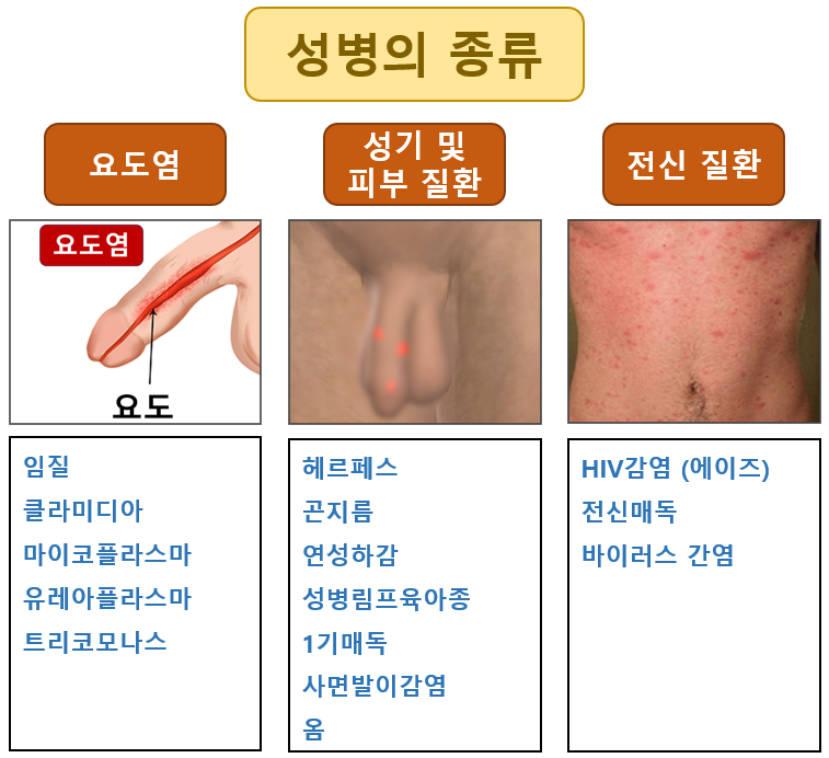 성병초기