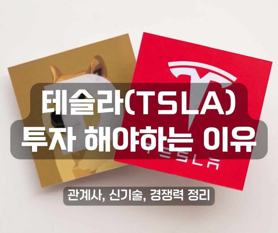 테슬라 주가 분석 (TSLA)