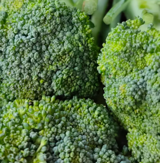 지방간에 좋은 음식 10 영양제 식단