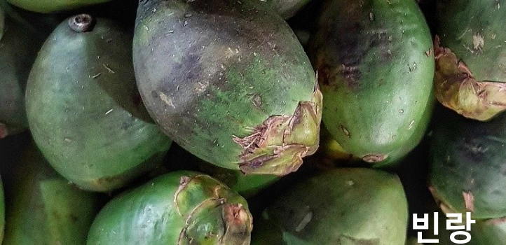 빈랑 열매 (비틀넛)