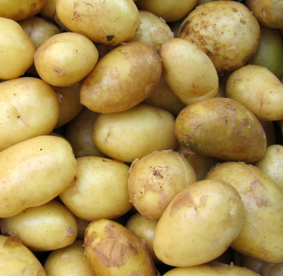 감자의 효능과 부작용