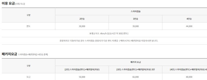 스카이 캡슐 이용요금
