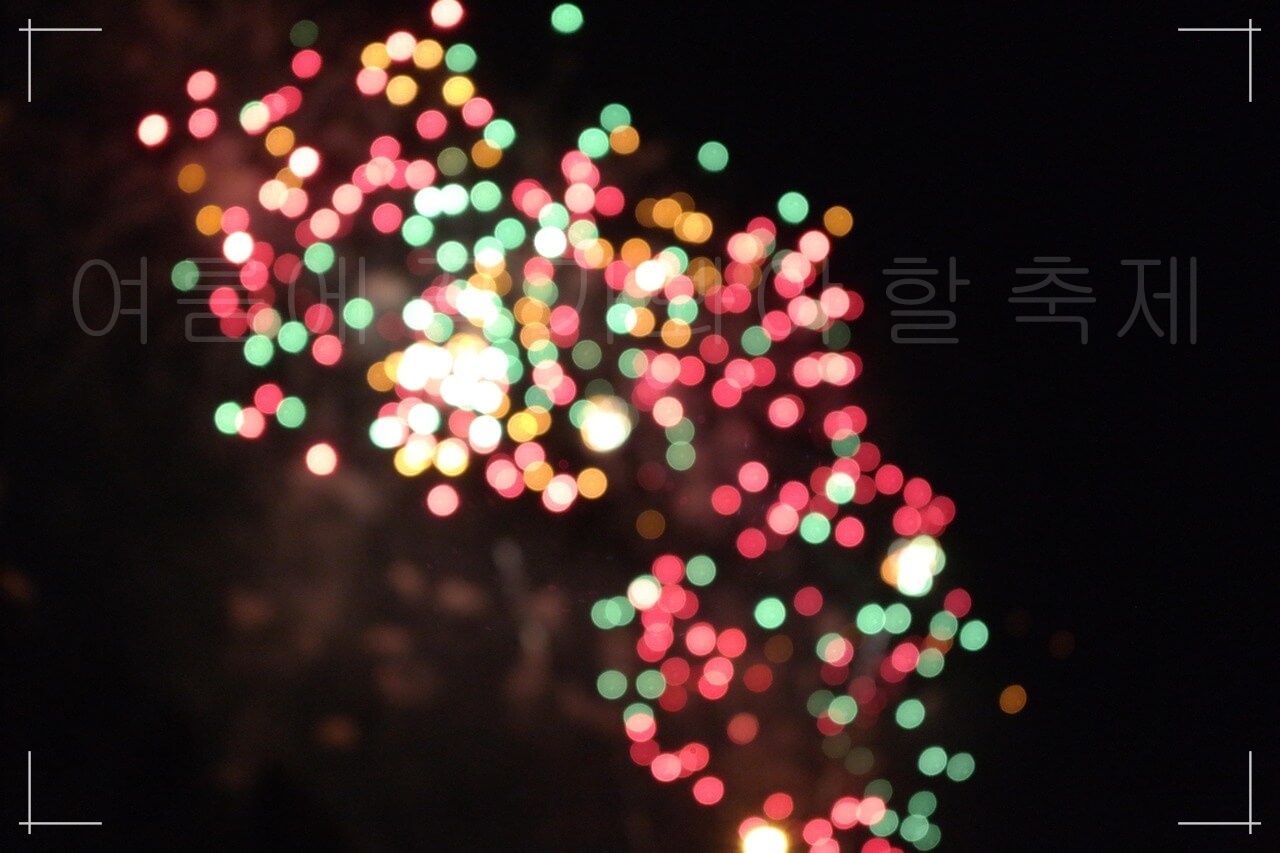 인기 축제 BEST 7, 올해 가장 기대되는 축제, 여름에 꼭 가봐야 할 인기있는 축제