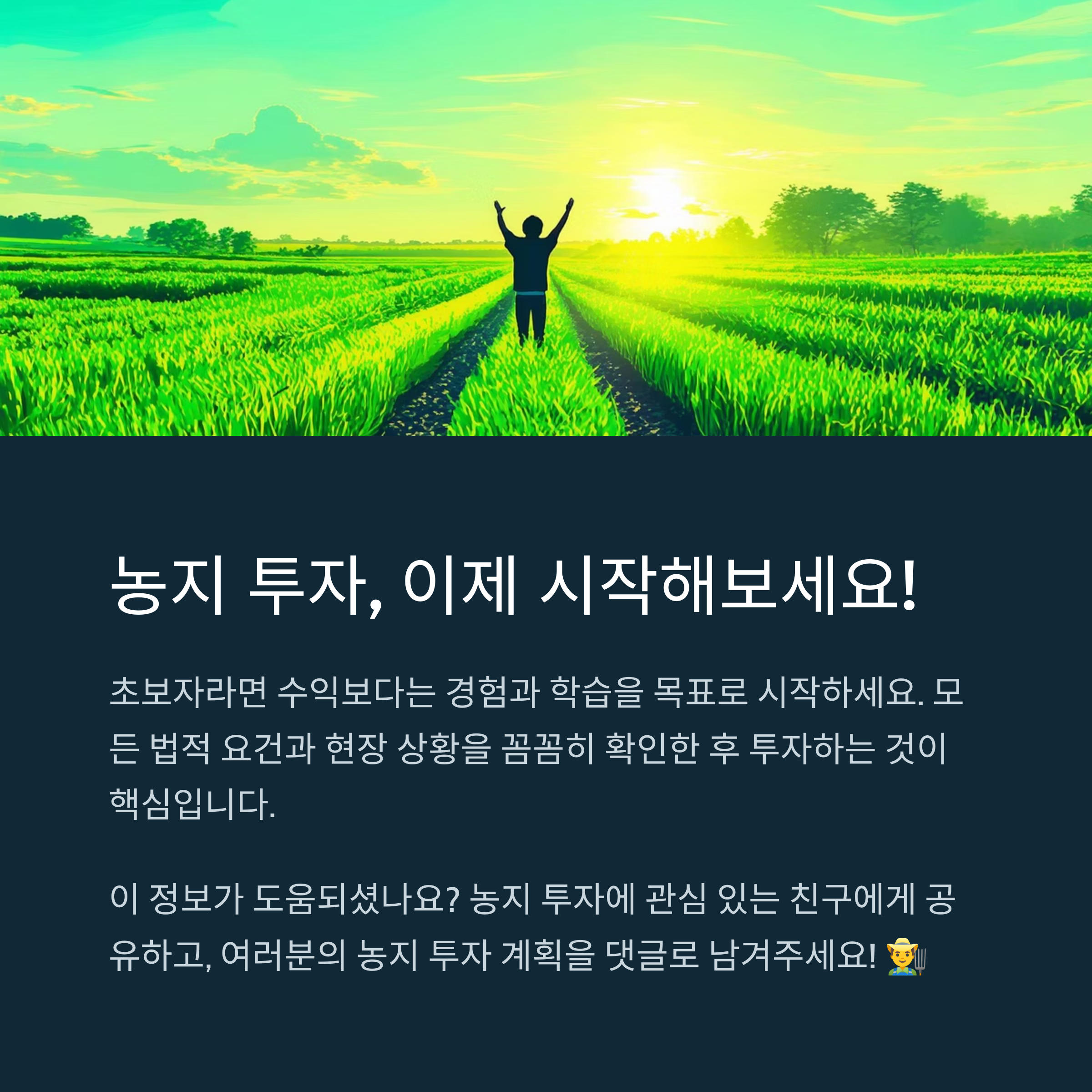 농자투자 해보자