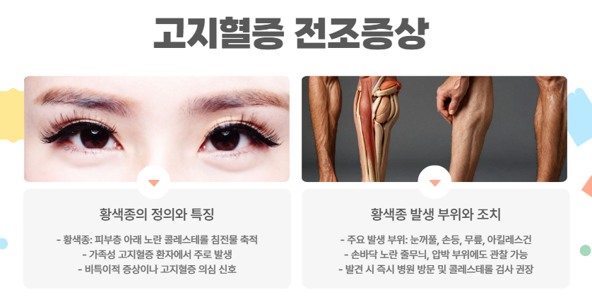 고지혈증 전조증상